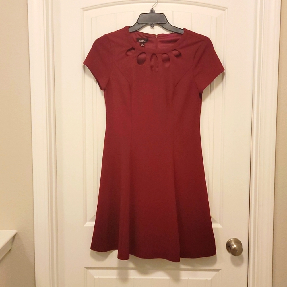 Burgundy Skater Dress